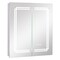 LED Bathroom Mirror Cabinet with Built-in Charging Station and Lights